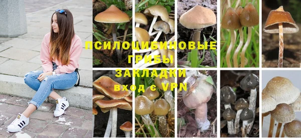 мет Заводоуковск