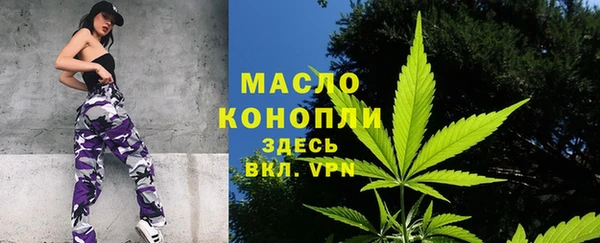 твердый Зеленодольск