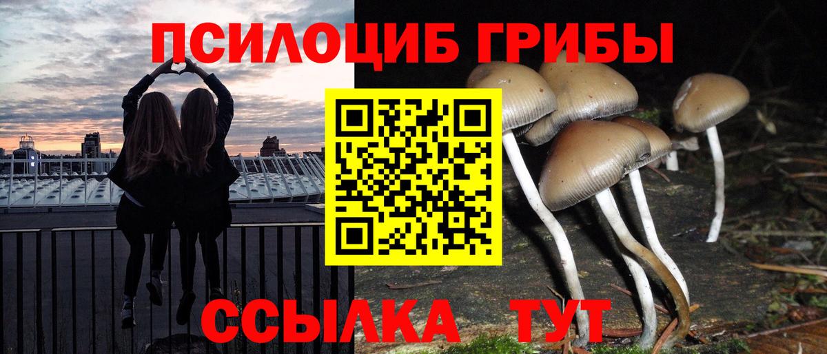 Псилоцибиновые грибы Psilocybine cubensis  Вход с VPN  Кисловодск  Псилоцибиновые грибы Cubensis 